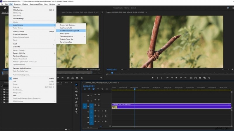 Best Video Editors for Creating Stunning Freeze-Frame Effects