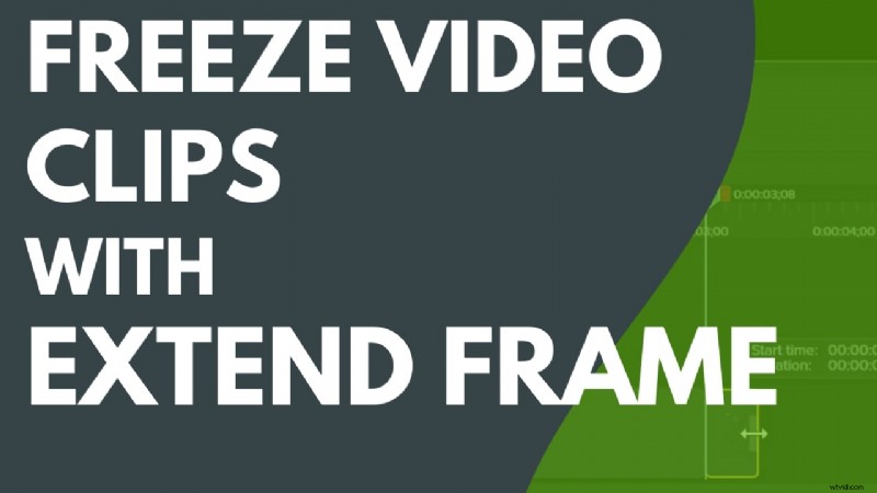 Master Camtasia Freeze Frames: A Comprehensive Guide to Extending Video Moments