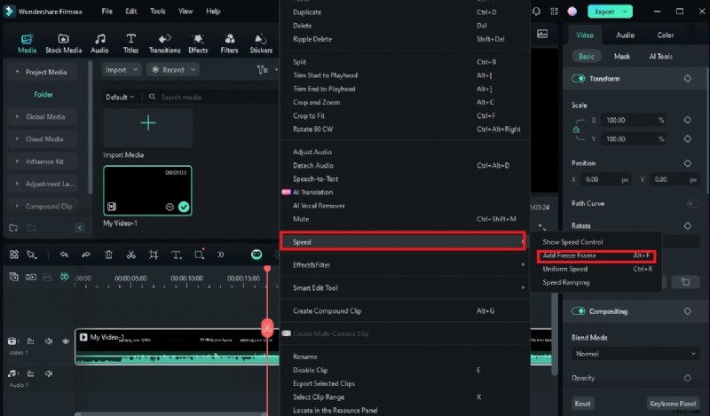 Mastering Freeze Frames: A Professional Guide to Timing and Impact