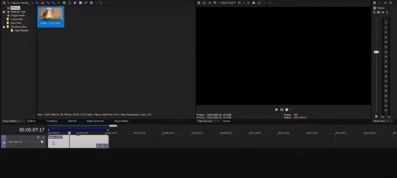 Master Freeze‑Frame Editing in Sony Vegas: Step‑by‑Step Guide