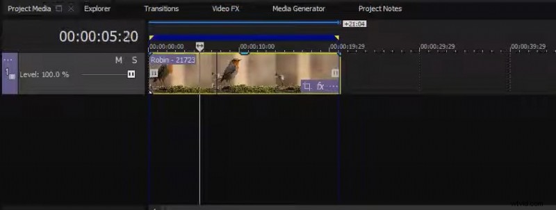Master Freeze‑Frame Editing in Sony Vegas: Step‑by‑Step Guide