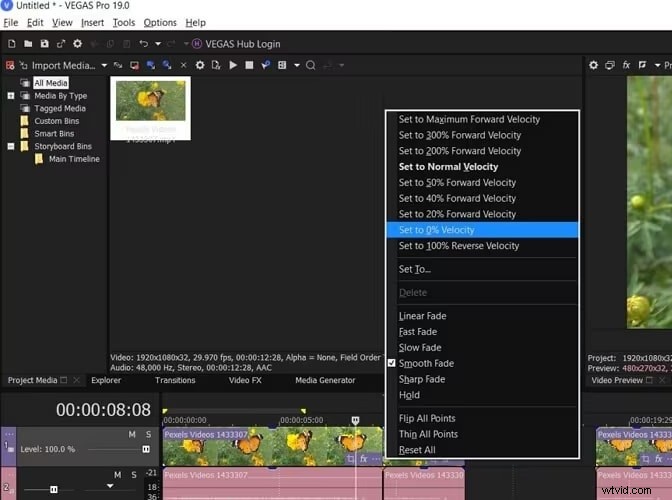 Master Freeze‑Frame Editing in Sony Vegas: Step‑by‑Step Guide
