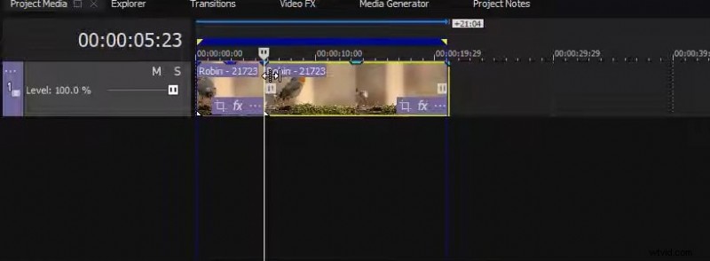 Master Freeze‑Frame Editing in Sony Vegas: Step‑by‑Step Guide