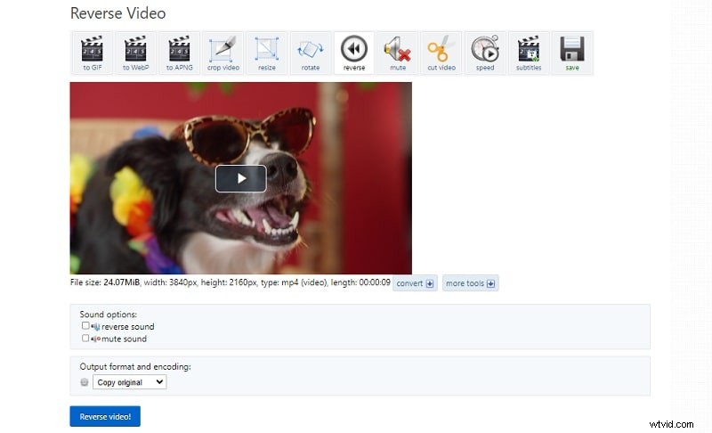 Reverse Video on Instagram: A Comprehensive Guide for 2024