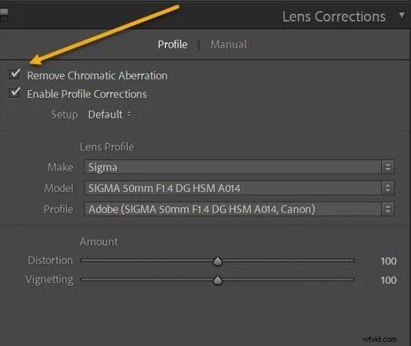 Remove Chromatic Aberration in Lightroom: A Comprehensive Guide