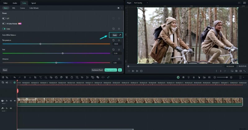 Remove Chromatic Aberration in Lightroom: A Comprehensive Guide