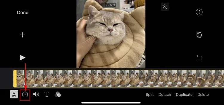 Speed Up iPhone Videos: Easy Methods & Apps - [Year]