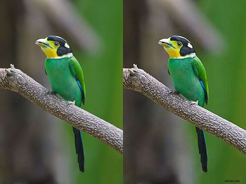 Compress Video Files: Reduce Size Without Quality Loss - [Year]