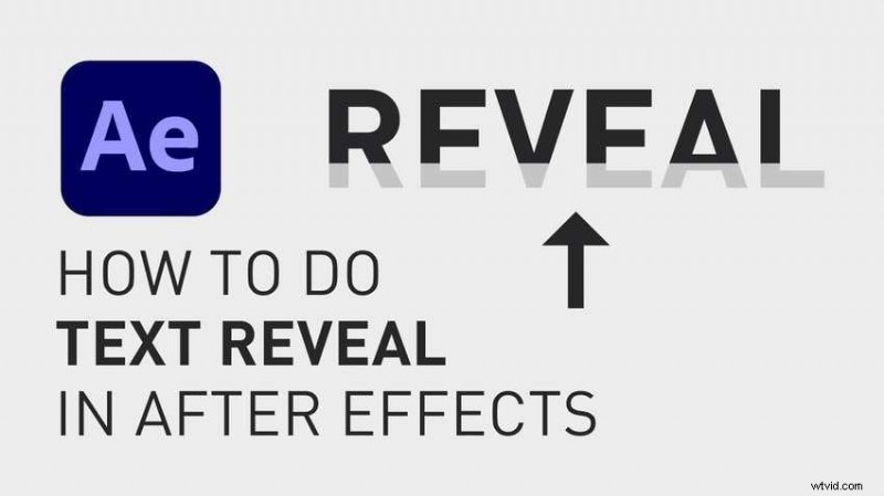 Expert Guide to Text Reveal Effects in After Effects and Filmora