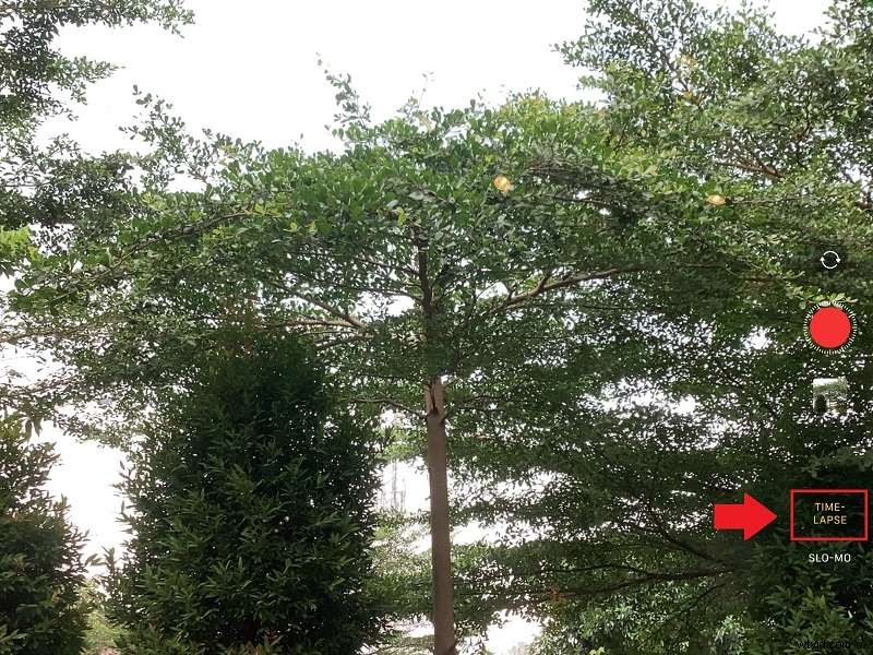 Speed Up Videos on iPad: A Comprehensive Guide