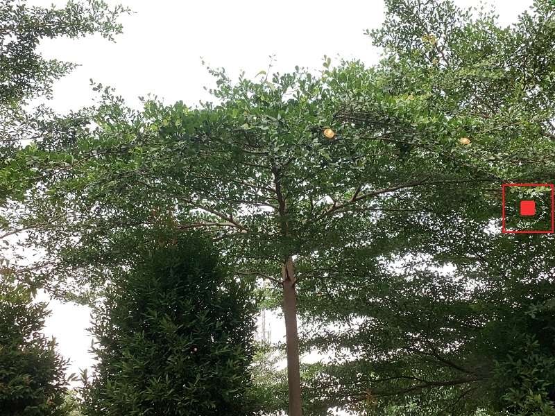 Speed Up Videos on iPad: A Comprehensive Guide