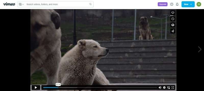 Boost Your Vimeo Experience: 3 Easy Ways to Increase Playback Speed