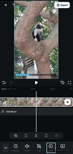 Speed Up MP4 Videos: Tools & Methods for PC, Mobile & Online