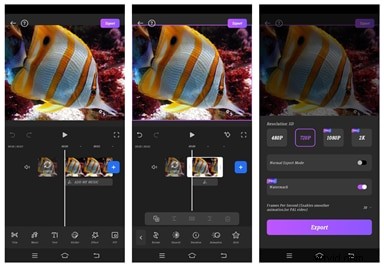 Effortlessly Split Videos: Top Software for All Devices