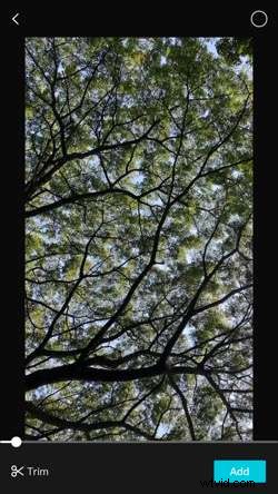 CapCut Slow-Motion Tutorial: Create Cinematic Effects Easily