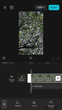 CapCut Slow-Motion Tutorial: Create Cinematic Effects Easily