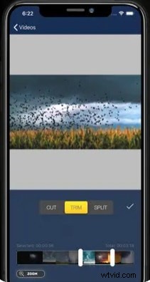 Best AVI Video Cutter Tools: Trim & Edit with Ease