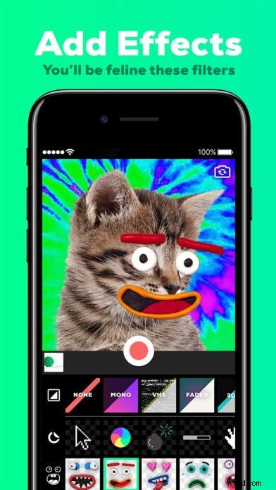 How to Create & Add GIFs: A Beginner s Guide (iPhone & Mac)