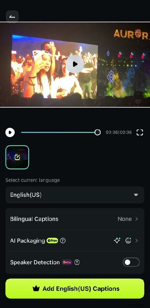 Netflix Subtitles: How to Customize & Add Captions
