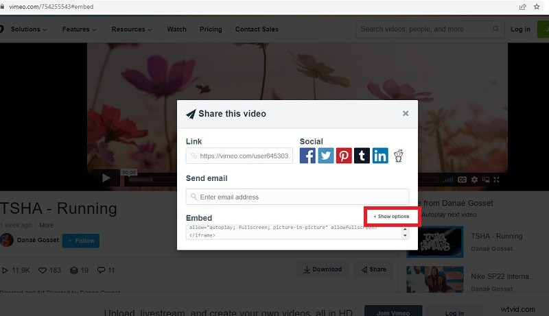 How to Loop Vimeo Videos: 4 Easy Methods