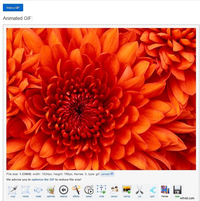 Master EZGIF: Create, Convert, and Crop GIFs with Ease