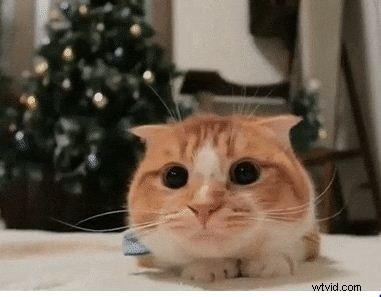 The Ultimate Guide to the Best GIF Websites & How to Create Stunning GIFs