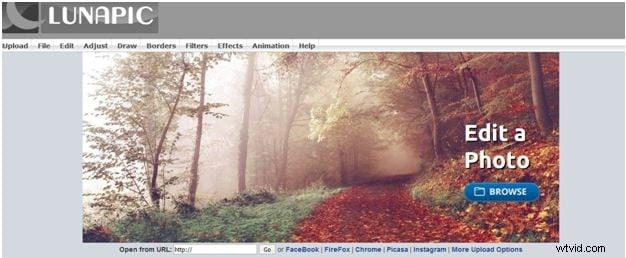 The Ultimate Guide to the Best GIF Websites & How to Create Stunning GIFs