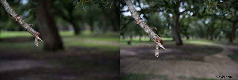 Videography: 6 Essential Tips for Capturing Stunning Macro Videos