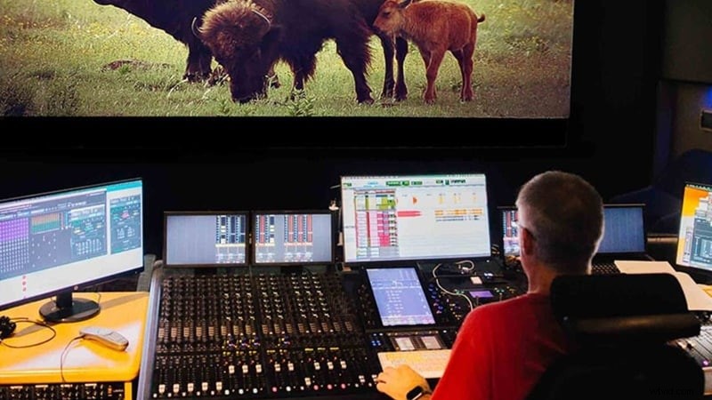 Audio Post-Production Workflow: A Beginner s Guide to Professional Sound