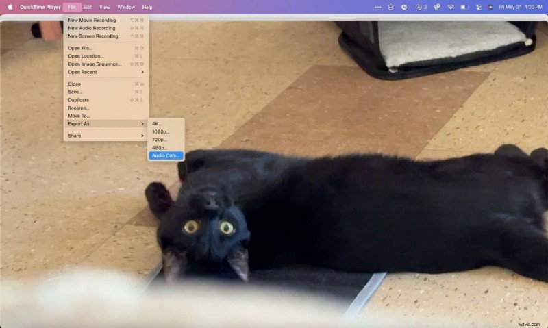 Extract Audio from MOV Files: A Complete Guide for Windows, Mac, and Mobile