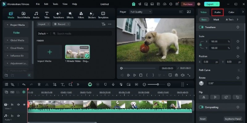 DFX Audio Enhancer Full Review: Features, Pros & Alternatives