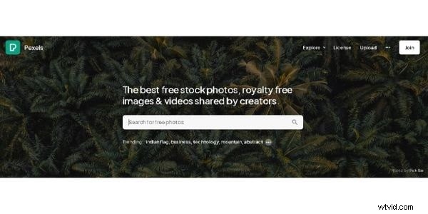 Pexels.com: Your Comprehensive Guide to Free High‑Resolution Media