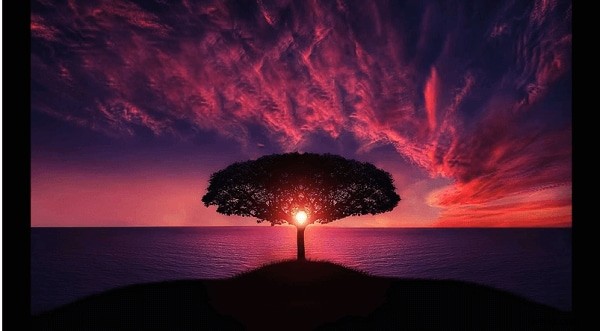 15 Top Royalty‑Free Tracks for Stunning Montage Videos – Safe, Copyright‑Free Music Downloads