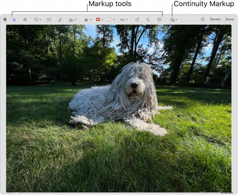 Top 8 Live Stream Recording Tools: Capture & Preserve Your Streams