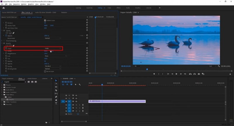 Mastering Zoom Effects: Expert Guidance from Top Video Editors