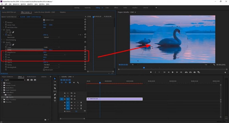 Mastering Zoom Effects: Expert Guidance from Top Video Editors