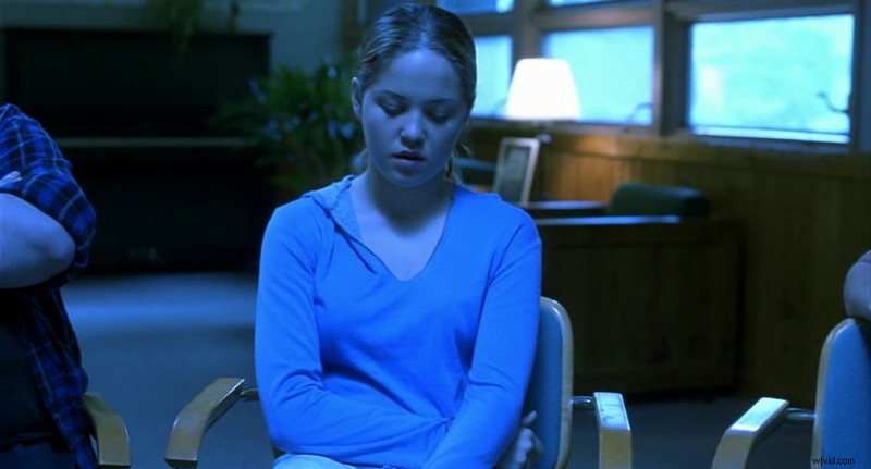 Analogous Color Schemes: Definition, Examples & Creative Applications