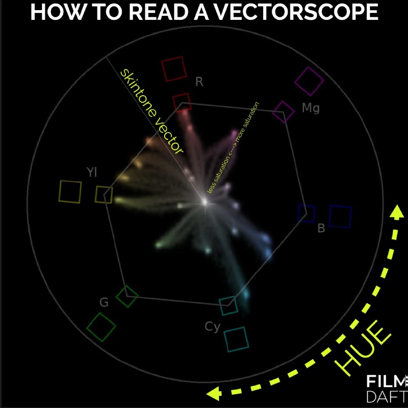 Vectorscope: Definition, Uses & How to Interpret for Color Grading