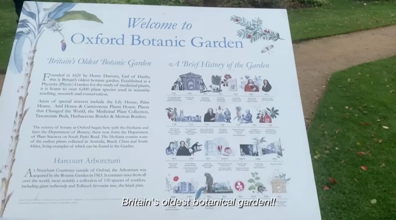 The Ultimate Guide to Lower Thirds: Design, Placement, and Best Practices