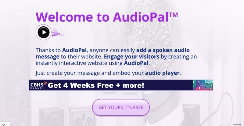 Top 10 Online Voice & Audio Recorders for 2024: Free & Paid Options