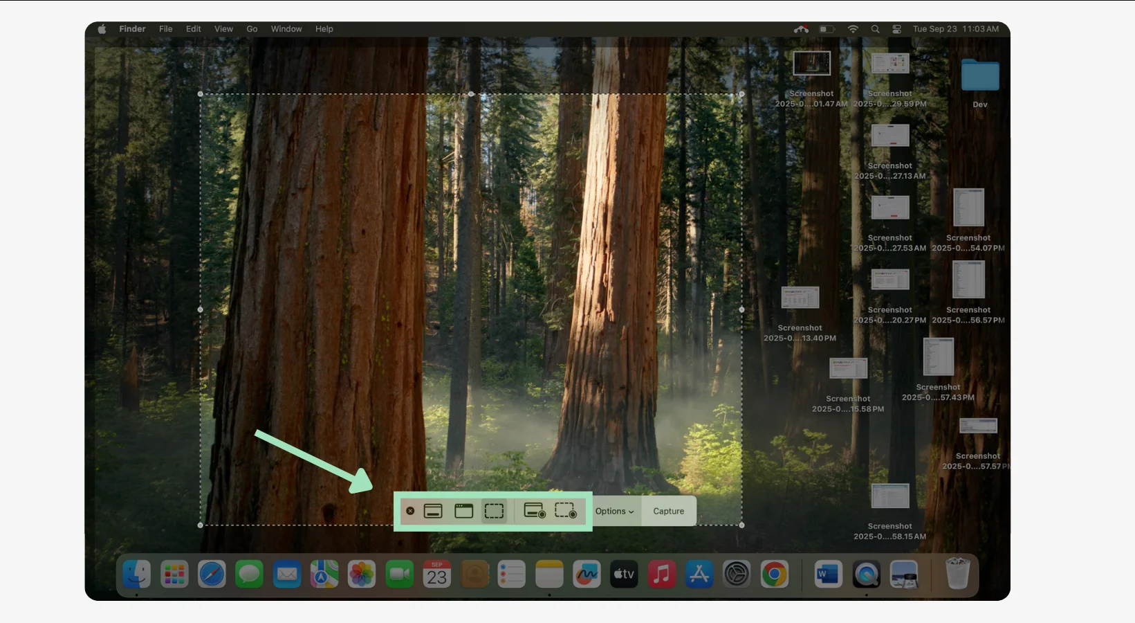 Best Free Screen Recording Software for Mac in 2024