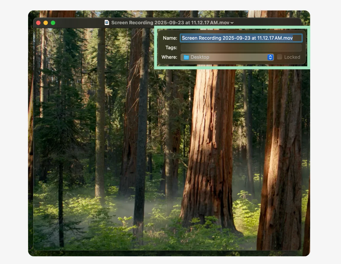 Best Free Screen Recording Software for Mac in 2024