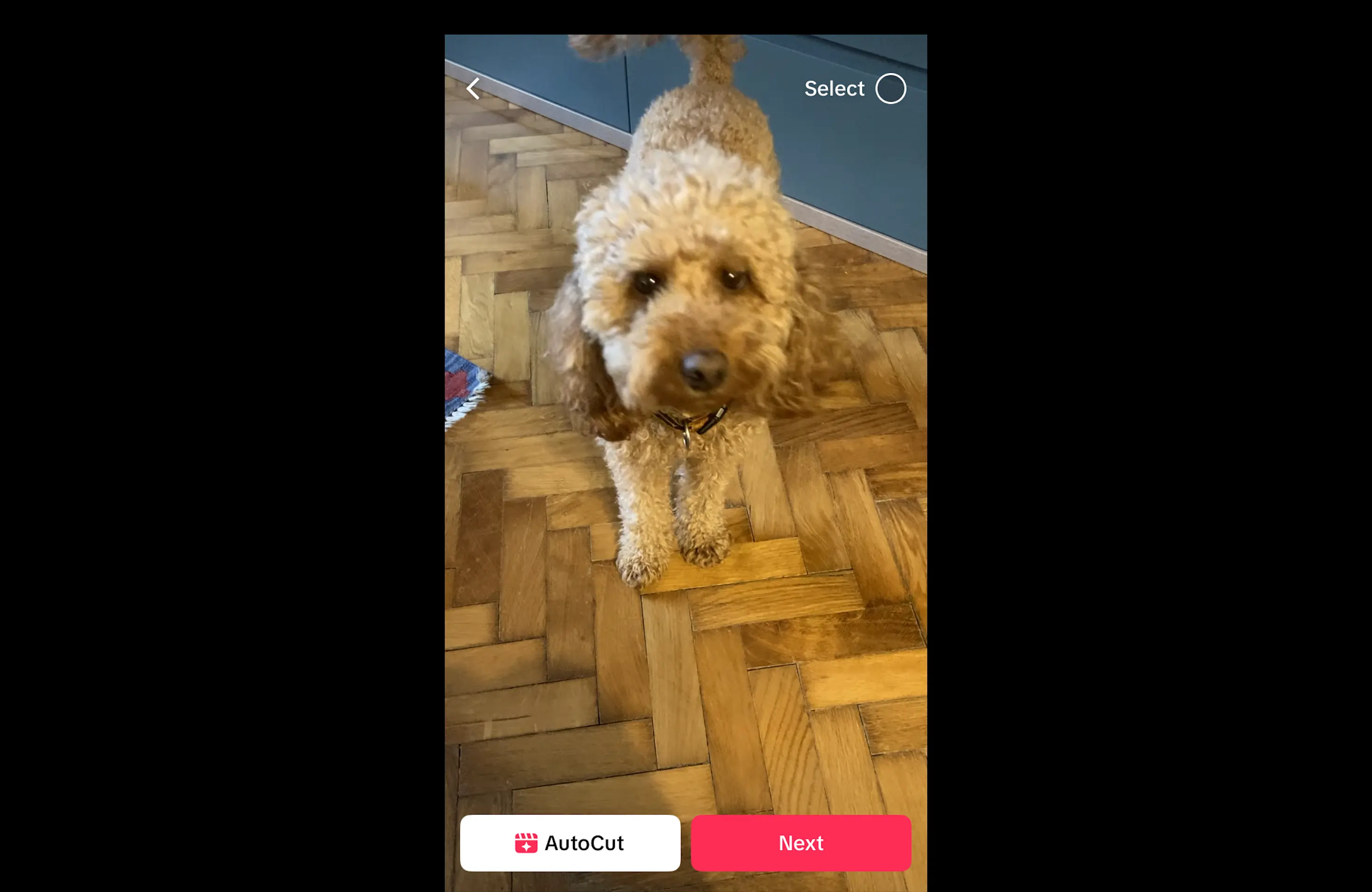 TikTok Video Editing: A Comprehensive Guide to Trimming, Effects & Optimization