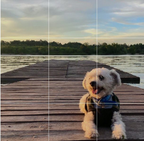 Elevate Your Videos: 13 Tips for High-Quality Content (No Studio Required)