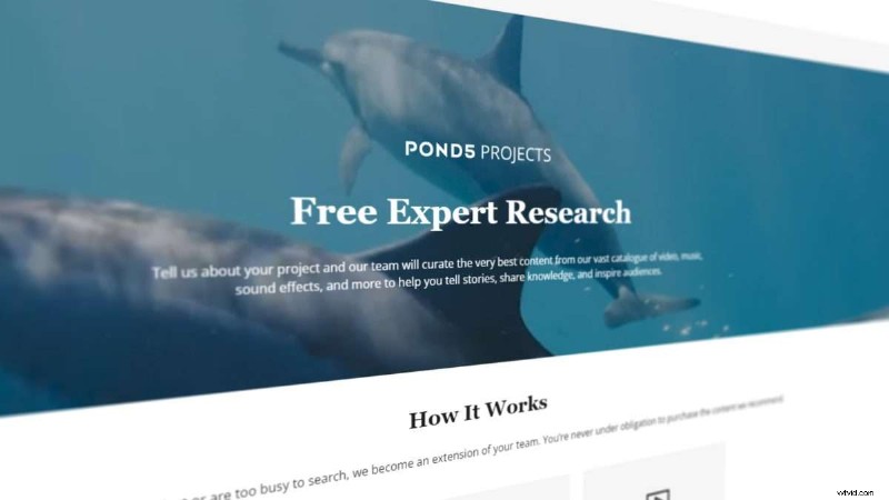 Mastering Pond5 Filters: Find the Perfect Stock Assets Quickly