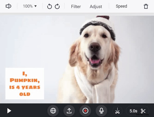 Create a Professional Video Dub Online in Minutes – Free & Easy