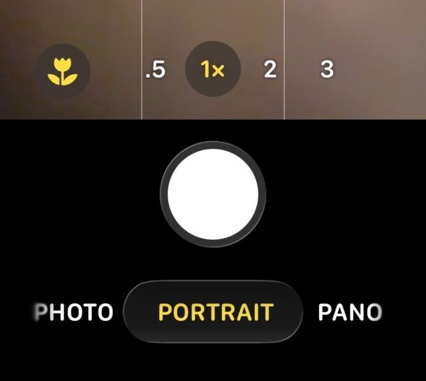 iOS 16/17: How to Use Portrait Mode on iPhone Camera
