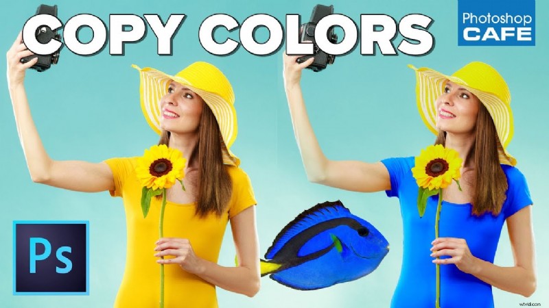 Photoshop Color Copying: Realistic Color Transfer & Matching