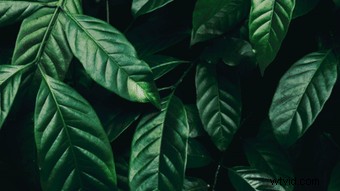 April Social Media Content Calendar: Video Ideas for Brands