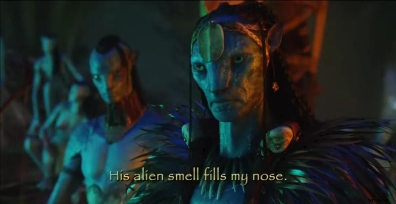 Subtitles: The Essential Guide to Accessibility and Engagement